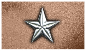 DNSEMP-C-430-SL-BZ Star Silver-Bronze